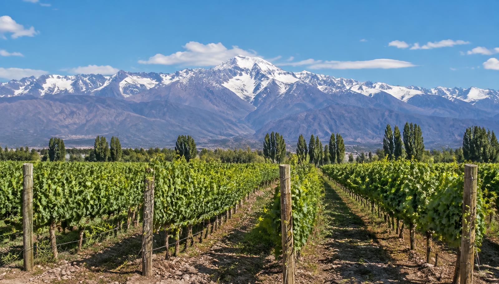 Guía de viaje a Mendoza